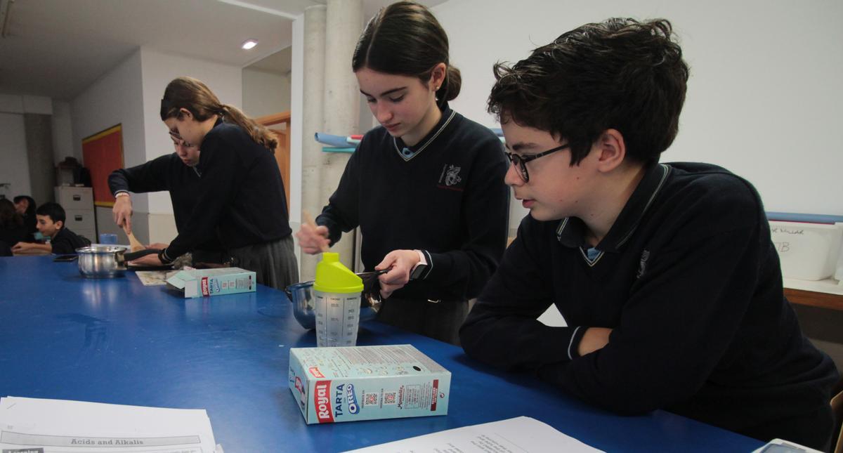 En Primary el alumnado del Colegio Inglés de Asturias realiza numerosos trabajos prácticos y en equipo