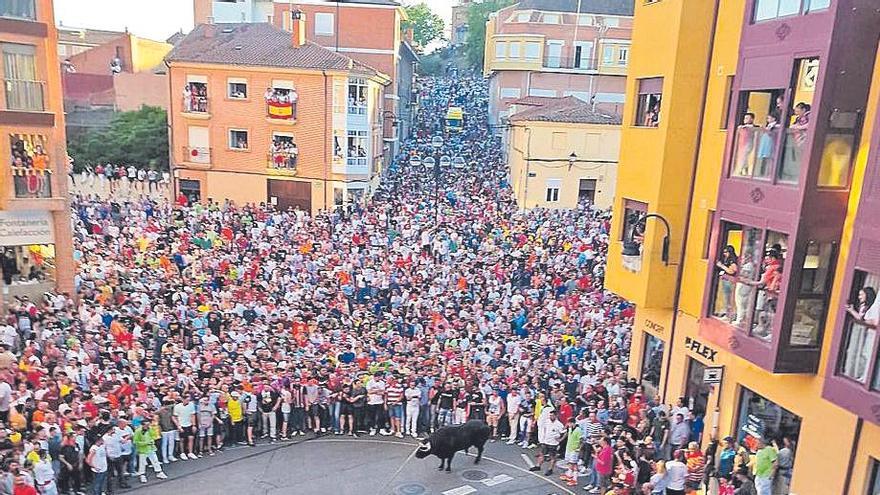 El Toro Enmaromado Comediante en la Plaza de los Leones.