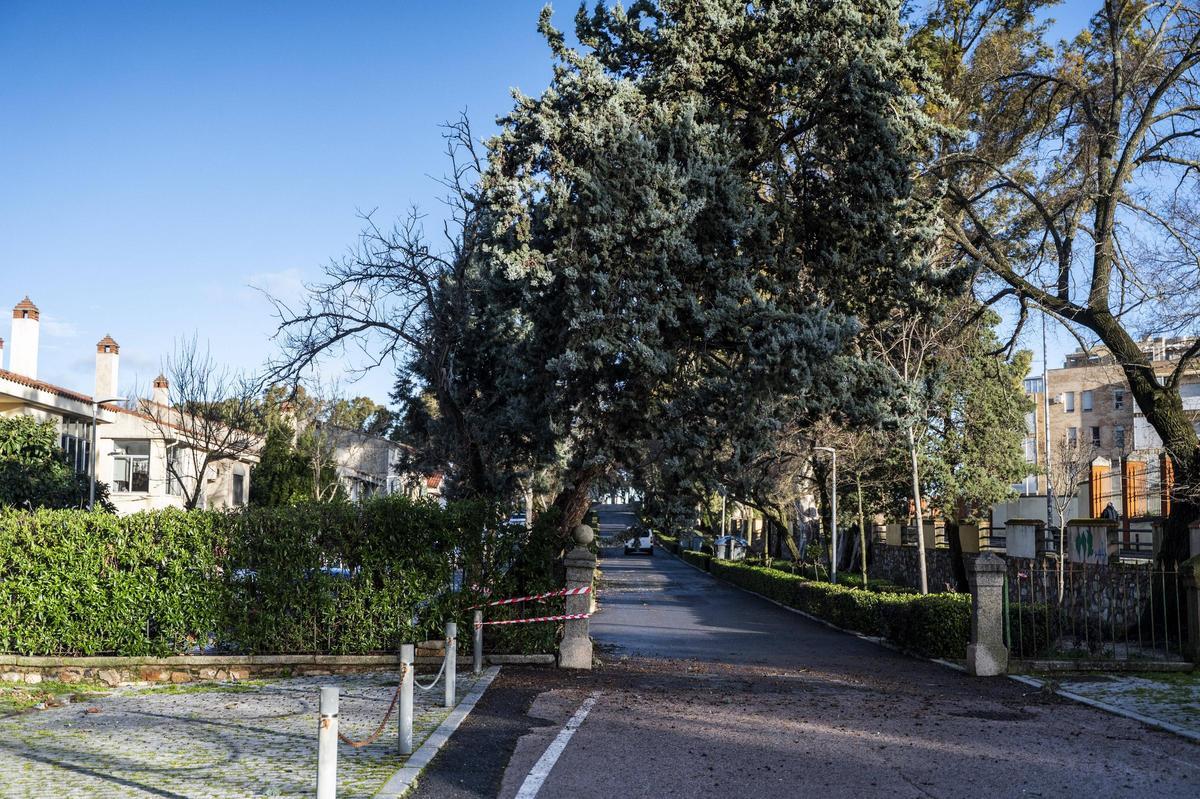 Fotogalería | El temporal en Cáceres, más imágenes