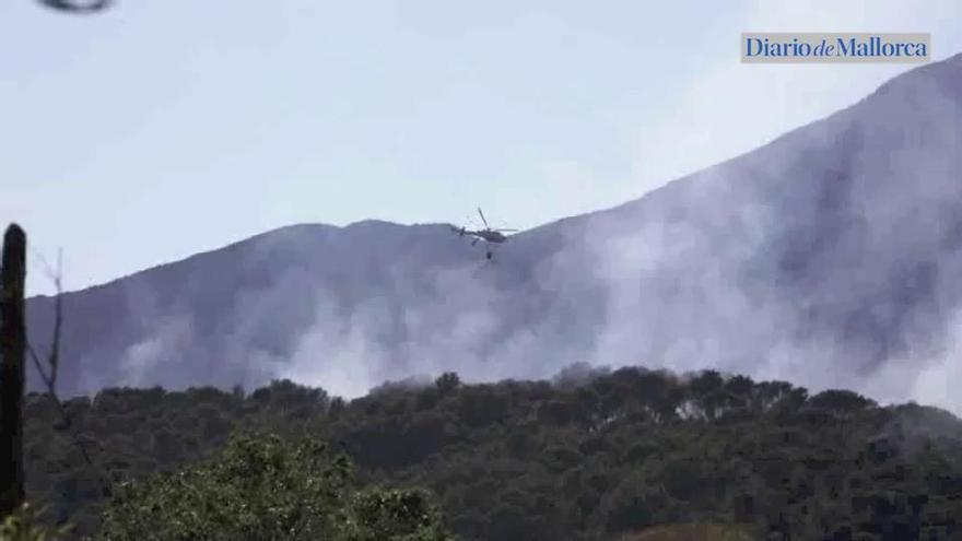 El incendio forestal de Puigpunyent está estabilizado