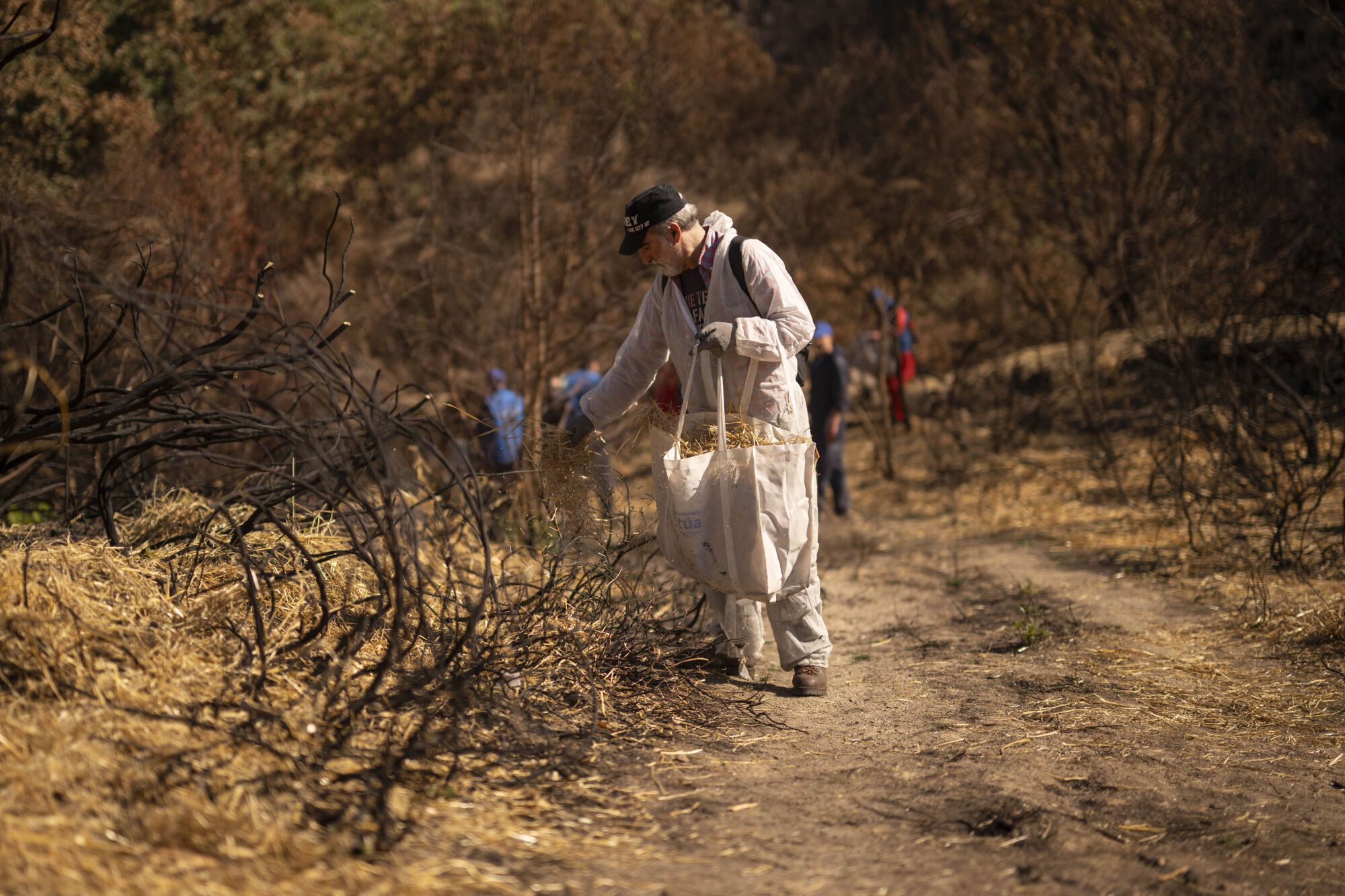 MANZANEDA (OURENSE). LOS VOLUNTARIOS COMIENZAN SU TRABAJO PARA CONSTRUIR ESTRUCTURAS QUE IMPIDAN QUE LAS LLUVIAS ARRASTREN EL TERRENO CALCINADO POR LOS INCENDIOS FORESTALES QUE AFECTARON A GALICIA EN AGOSTO.