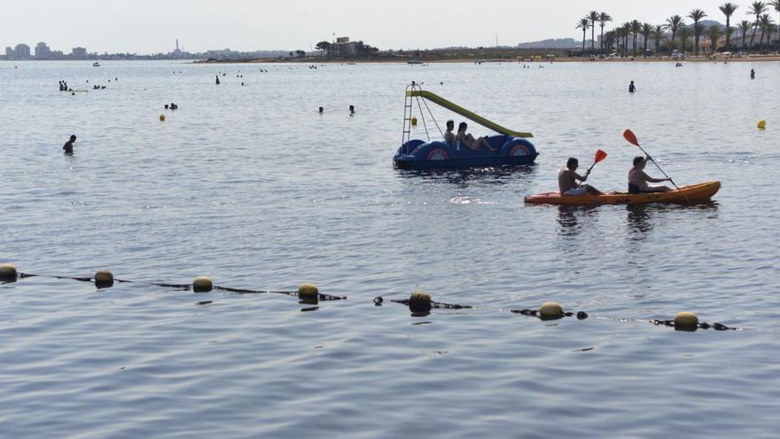 Científicos del Comité del Mar Menor piden no poner las redes antimedusas