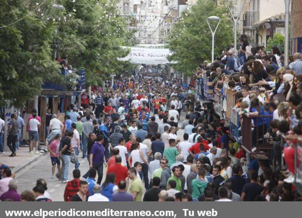 GALERÍA DE FOTOS - Fiestas de San Pascual bou al carrer