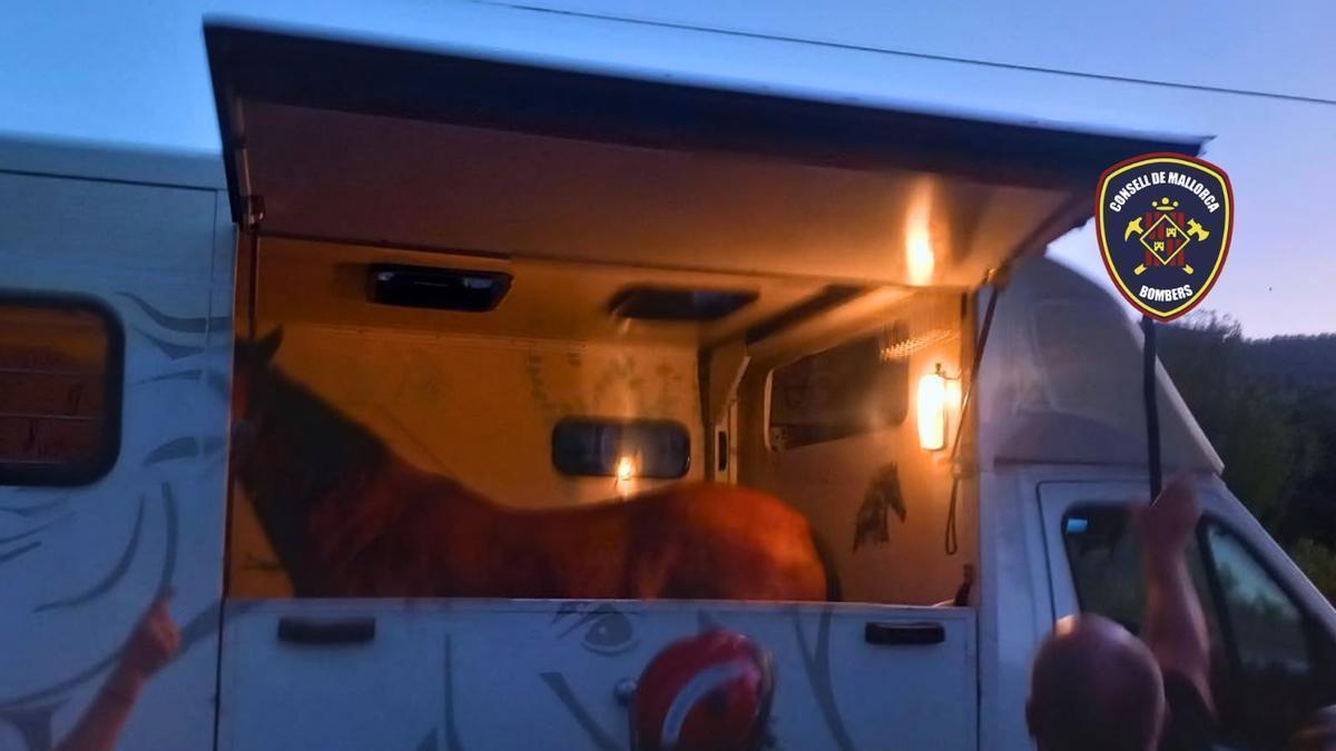 Los bomberos rescatan a un caballo atrapado en un puente en Sóller