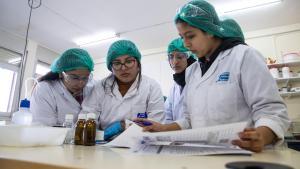 Alumnado de FP en un instituto de Badalona.