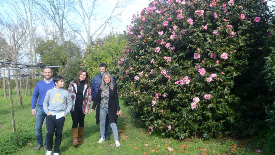 Empieza el mejor momento del año para disfrutar de los camelios en flor en O Salnés