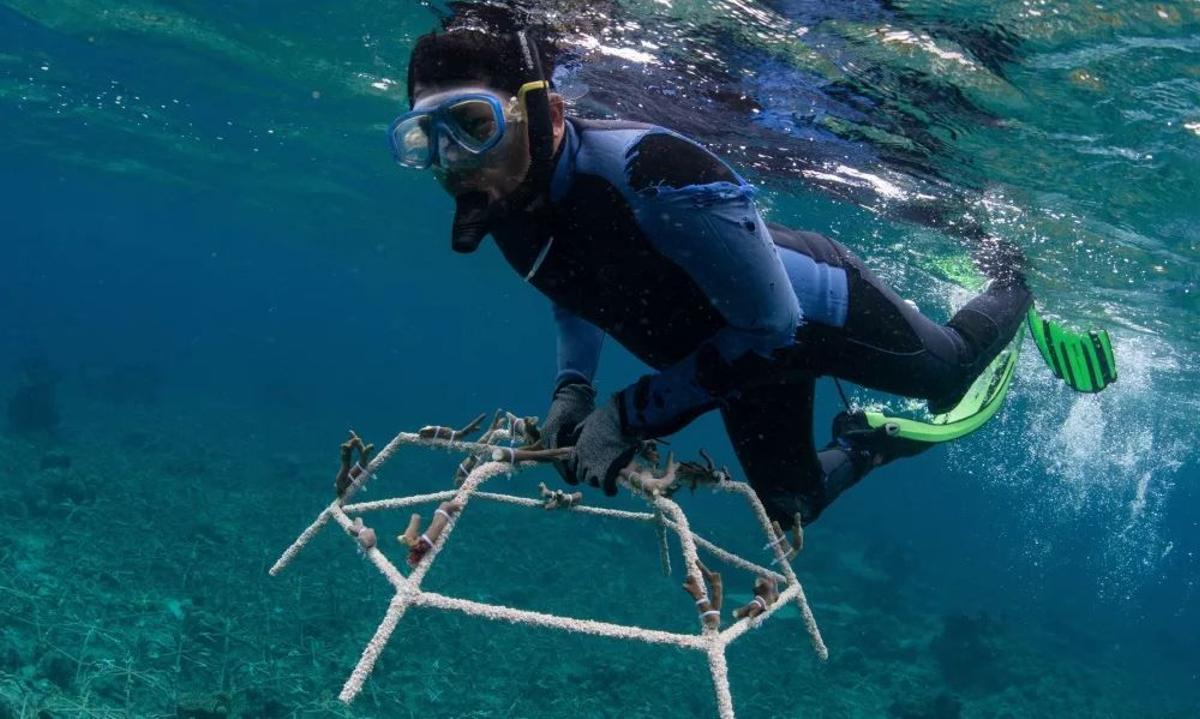 Una de las estrellas de acero usadas para la restauración