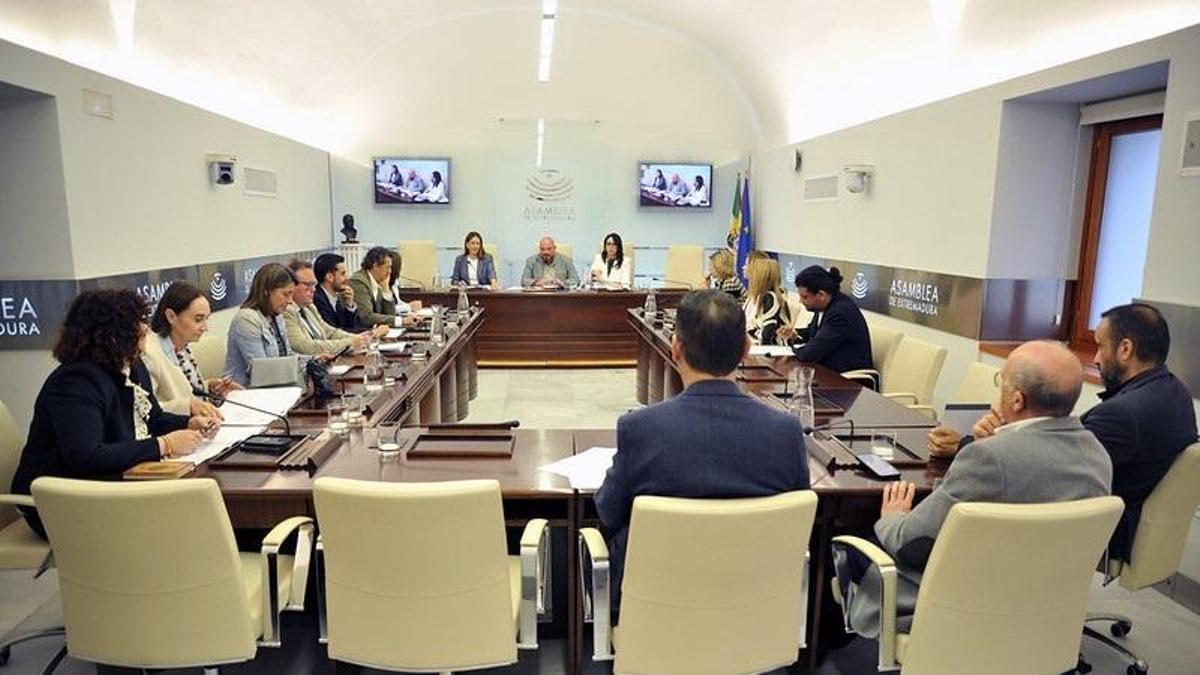Constitución de las comisiones permanentes sectoriales en la Asamblea de Extremadura.
