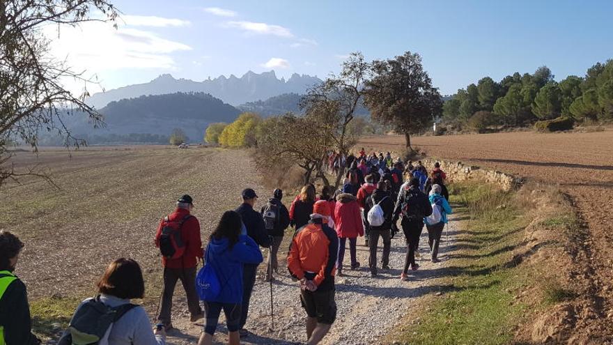 Participants a la Caminada Oliba