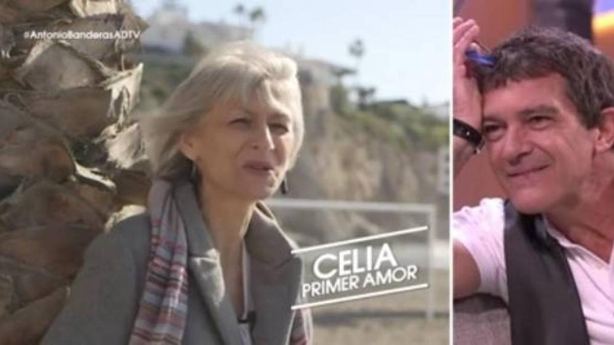 Antonio Banderas escucha a Celia Trujillo, en 'El árbol de tu vida'