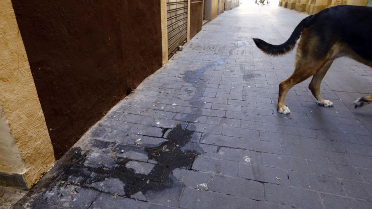 Más suciedad en la calle Miguel de Ara.