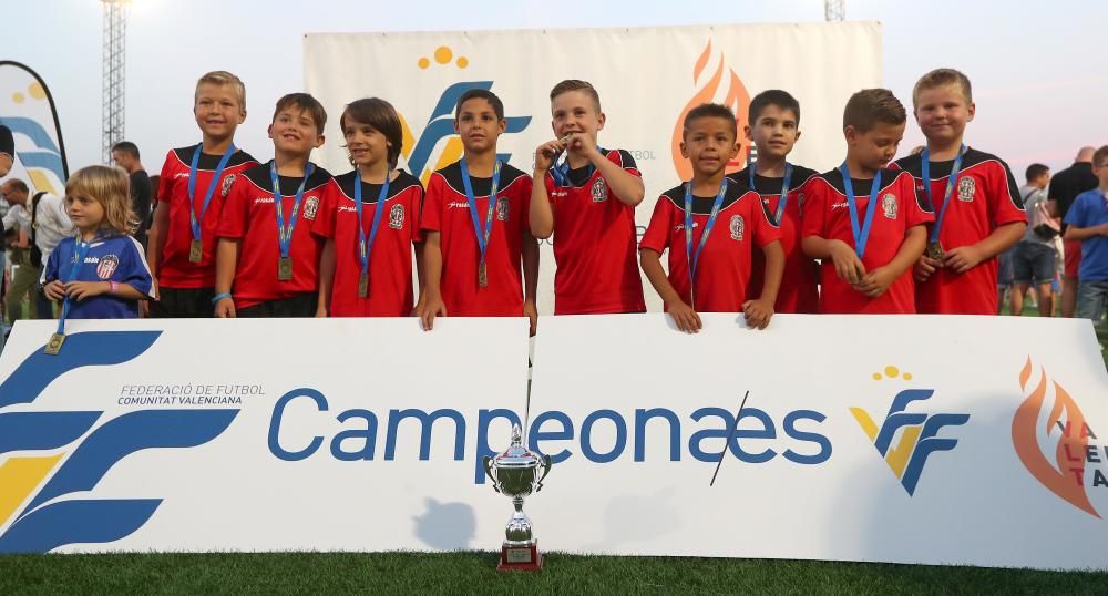 Campeones futbol 8