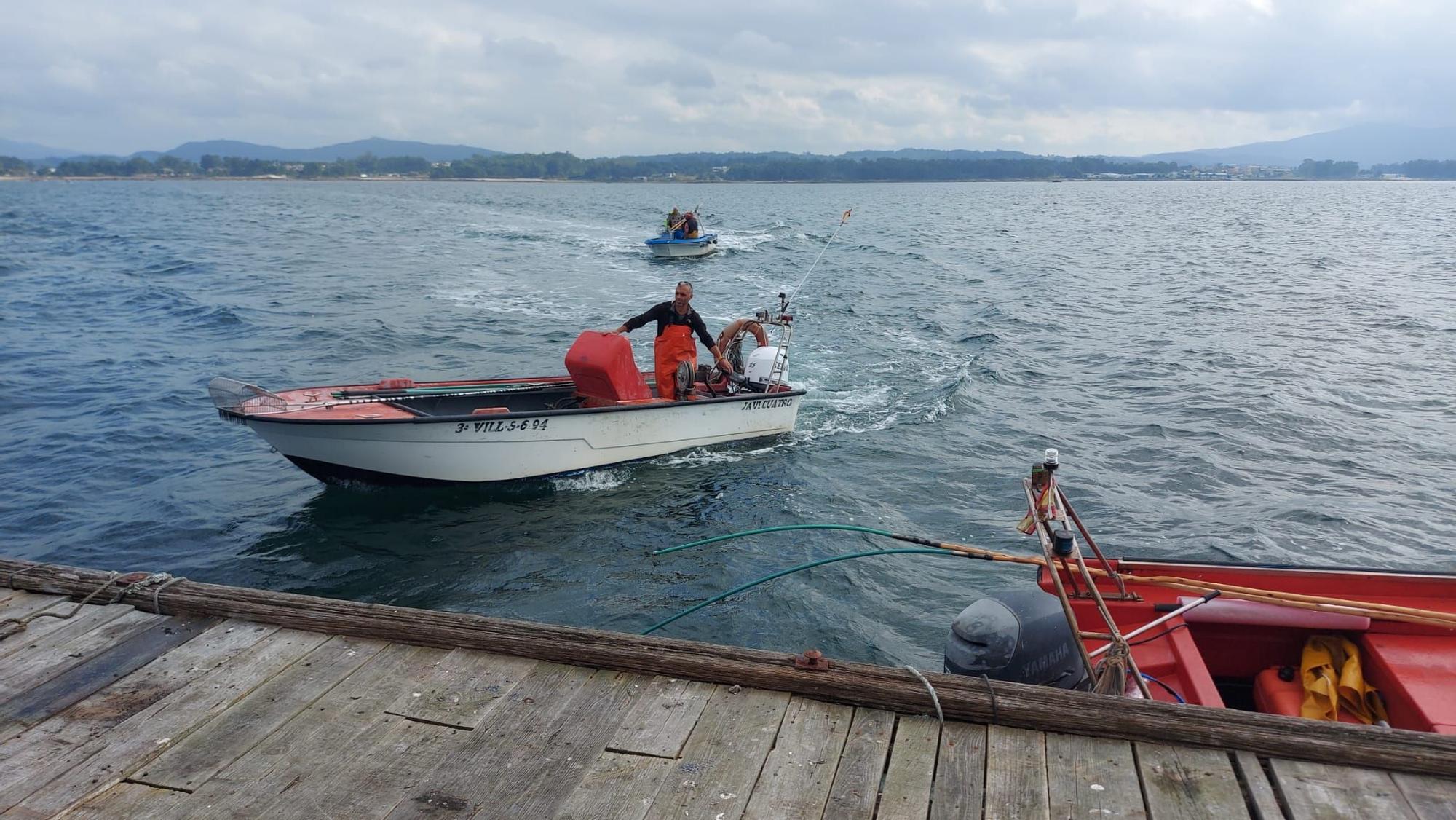 Así comenzó otra preocupante y desconsoladora campaña para el libre marisqueo en Arousa.