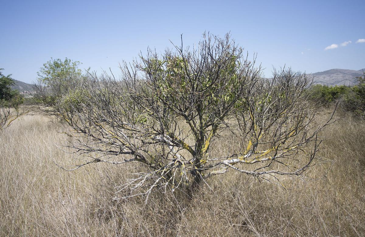 Terrenos en desuso.