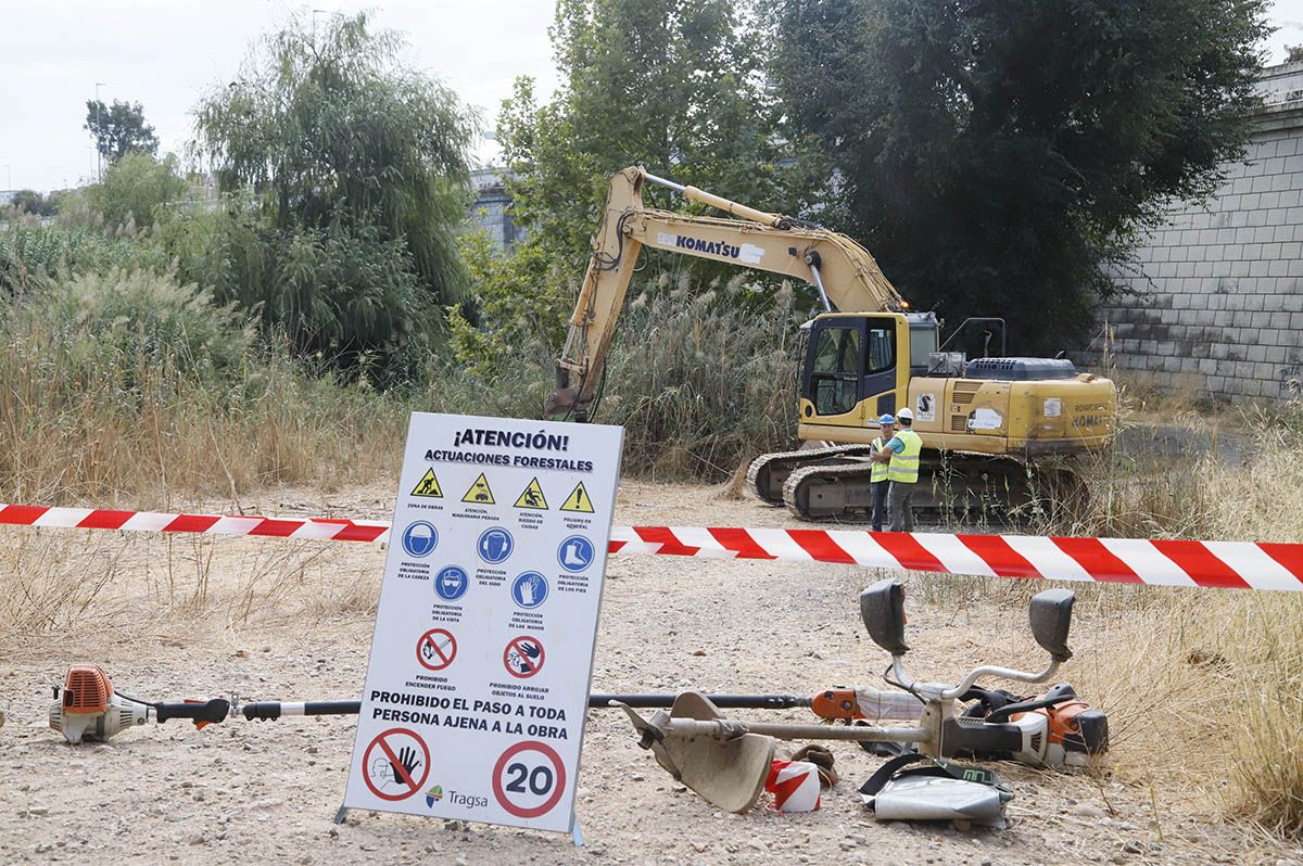 Comienzan los trabajos de limpieza de los Sotos de la Albolafia