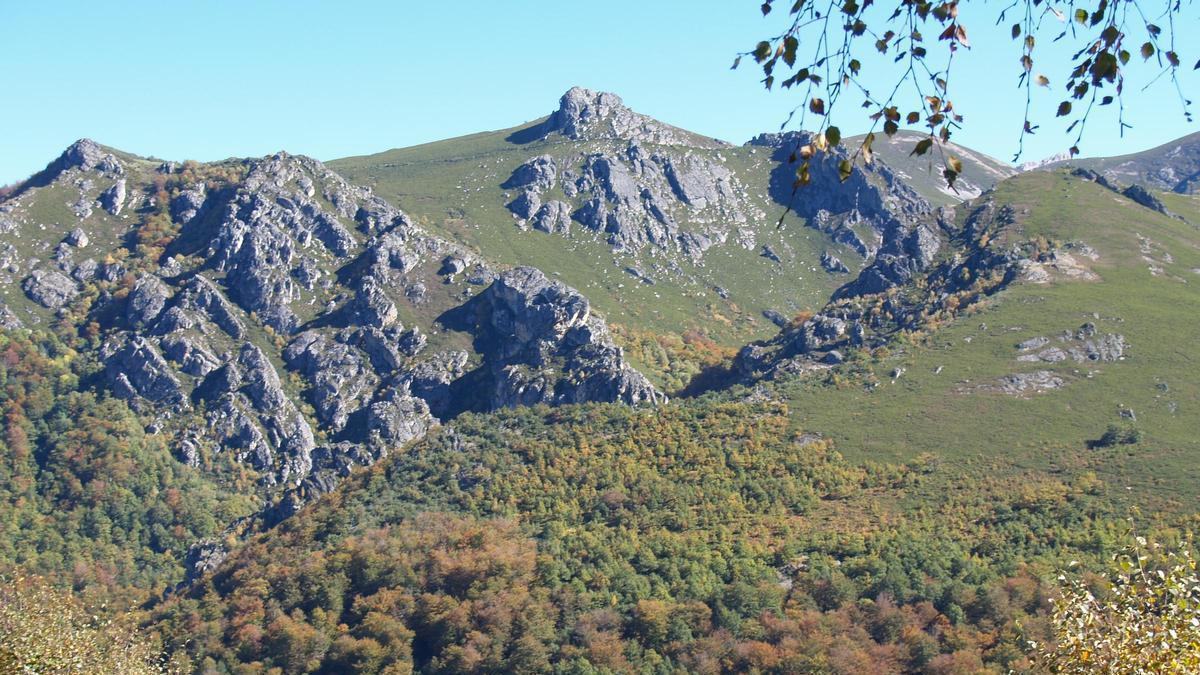 Un bosque de Asturias