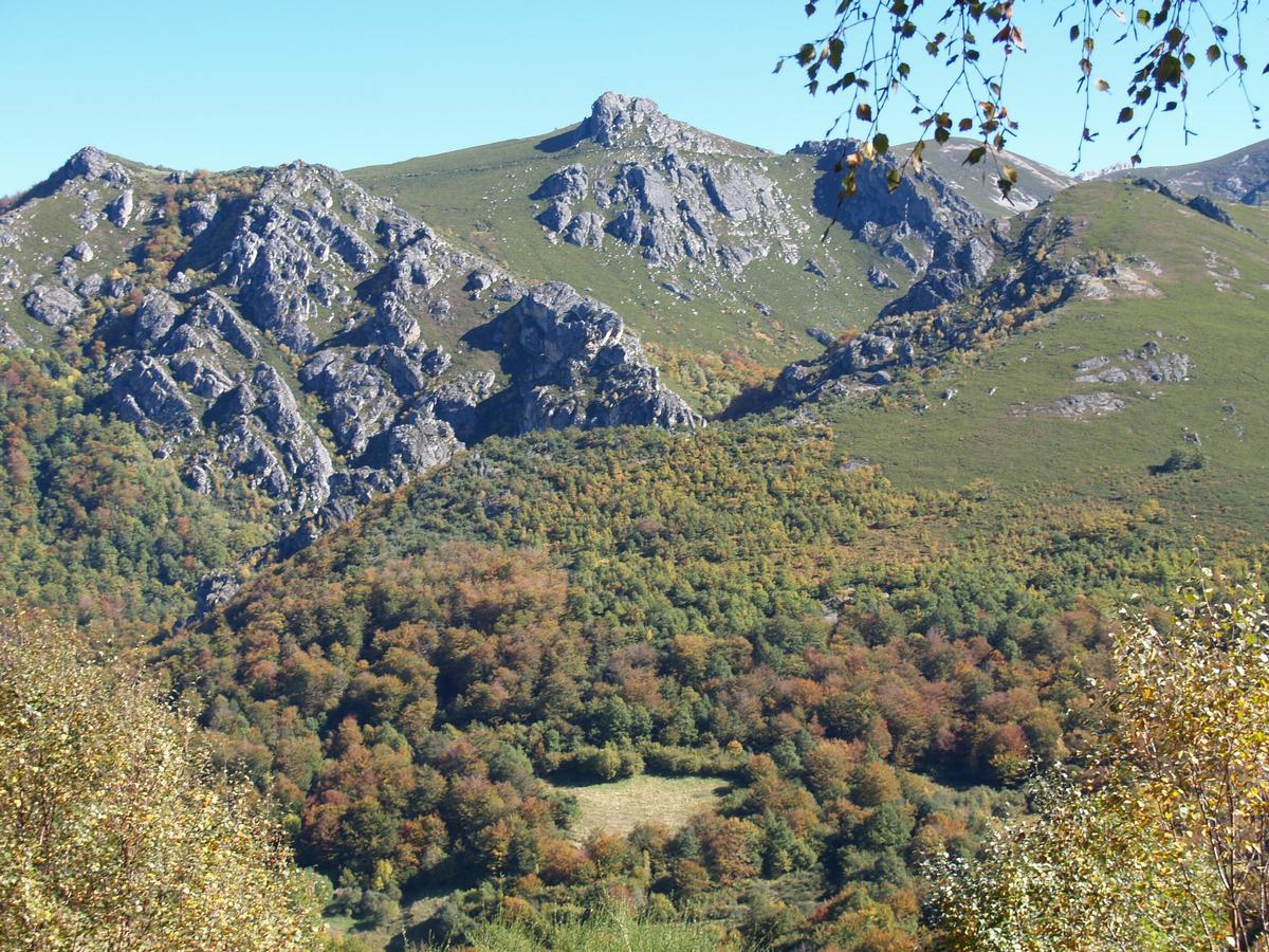 Un bosque de Asturias