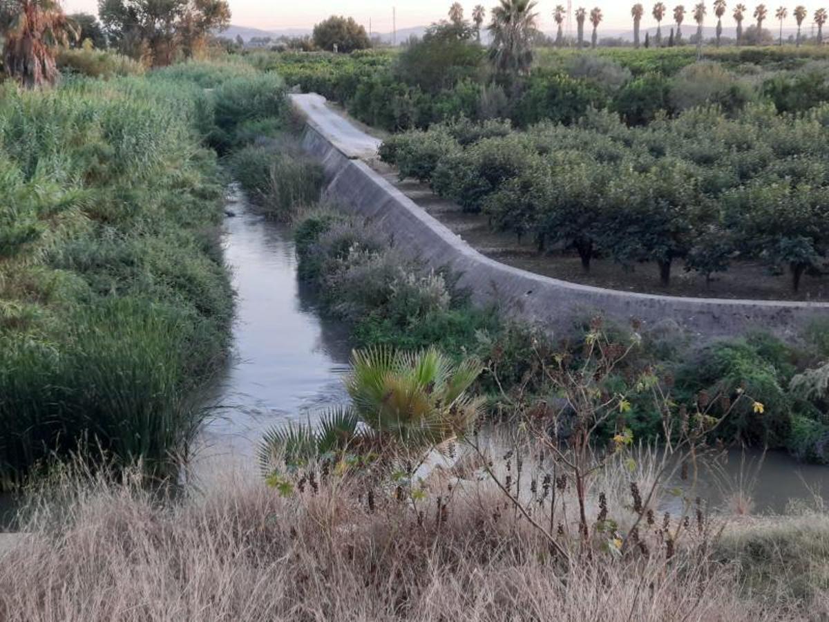 Una imagen del cauce del Barxeta, con el agua oscura, la semana pasada. | LEVANTE-EMV