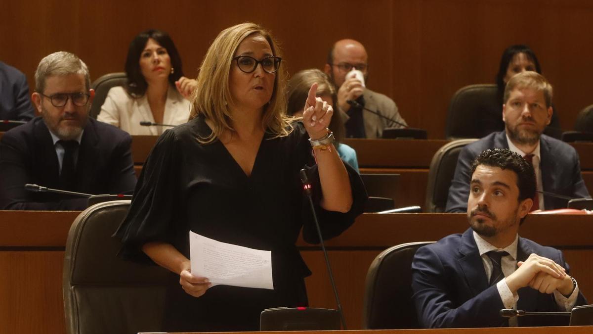 La portavoz del PSOE, Mayte Pérez, en la pregunta al presidente, Jorge Azcón.