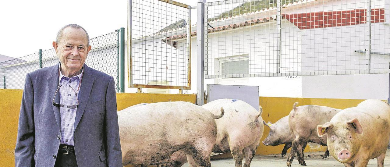 Juan Jiménez muestra orgulloso crías de cerdo en una de sus granjas | María  Dolores Sánchez