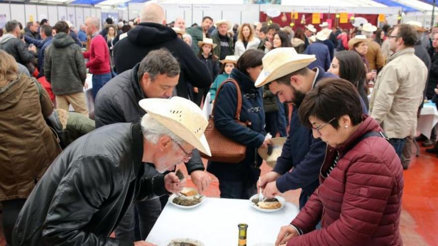 Arbo recupera este fin de semana la Festa da Lamprea con el doble de actos culturales