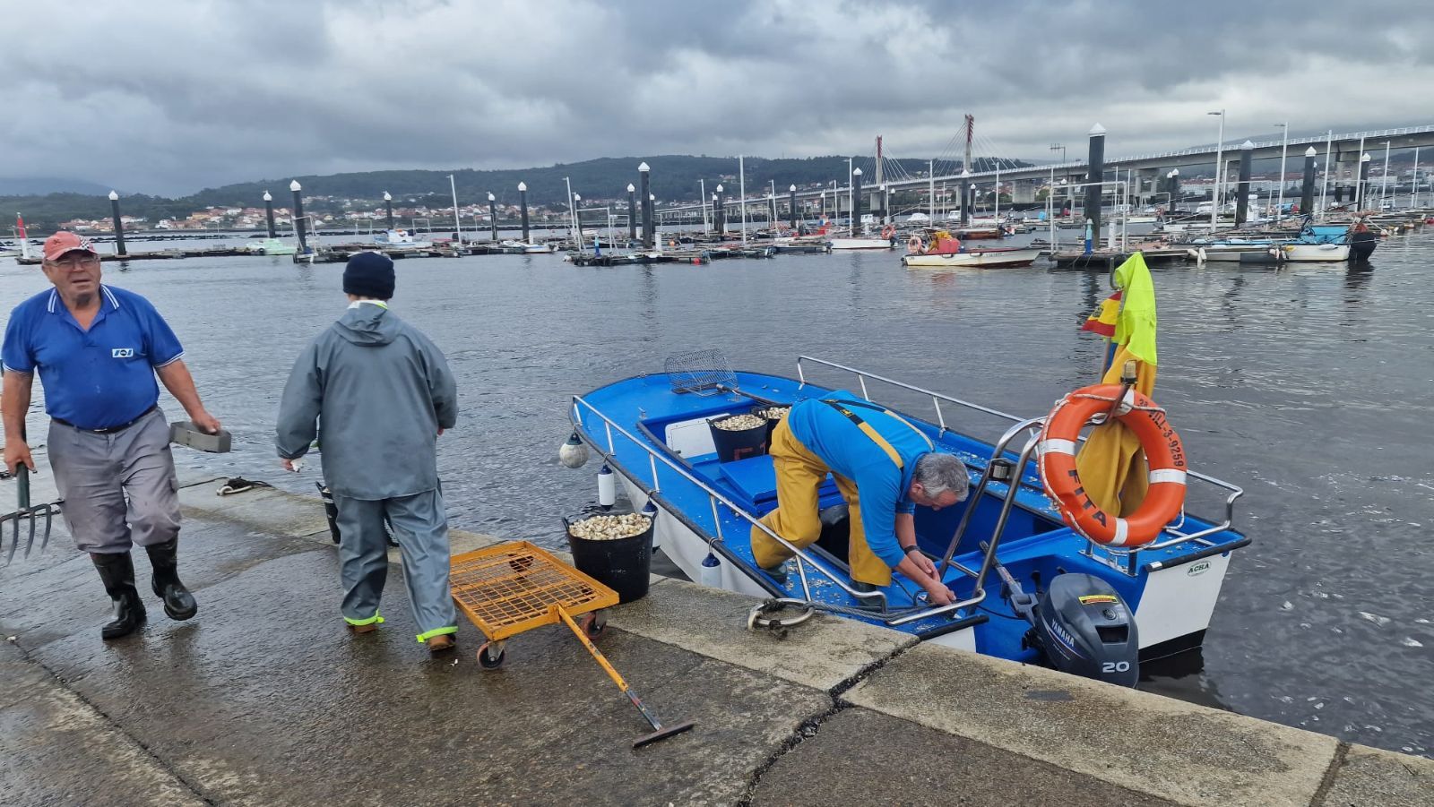 Así es el día a día en el puerto y la lonja de O Testal (Noia), donde cada vez se dan cita más mariscadores arousanos.