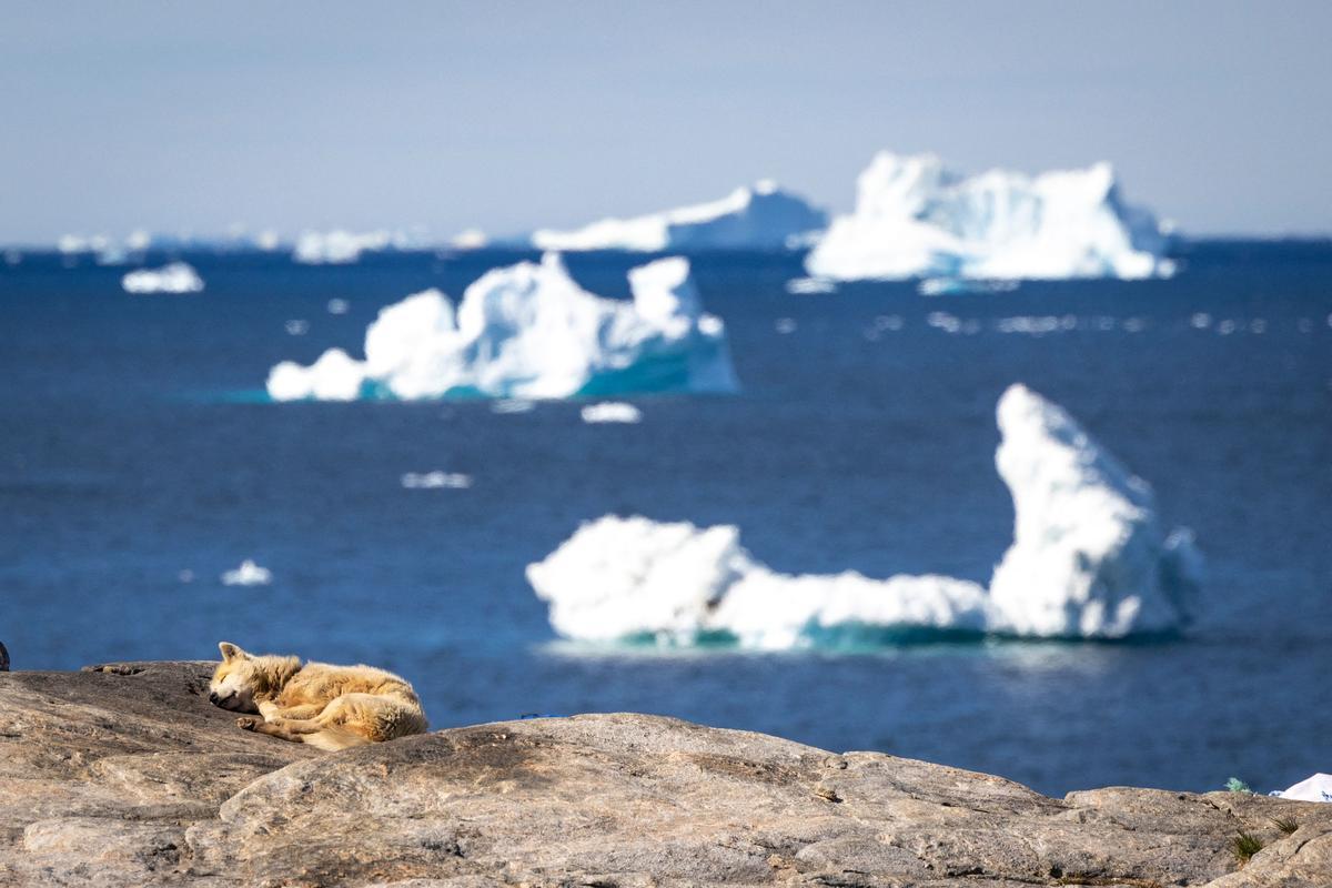 El espectáculo de los icebergs en Groenlandia.