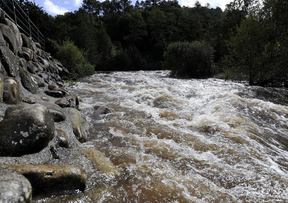 El río Deza, con mucha fuerza
y agua turbia en A Carixa
(Vila de Cruces) . 
  | FOTOS: EMERXENCIAS LALÍN