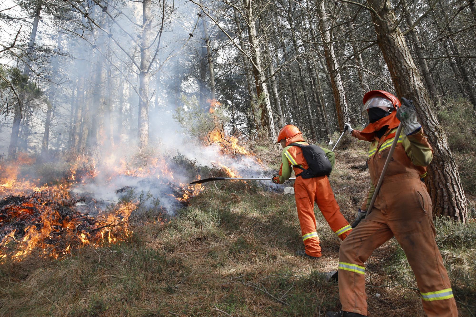 La lucha contra el fuego en el incendio entre Nava y Piloña