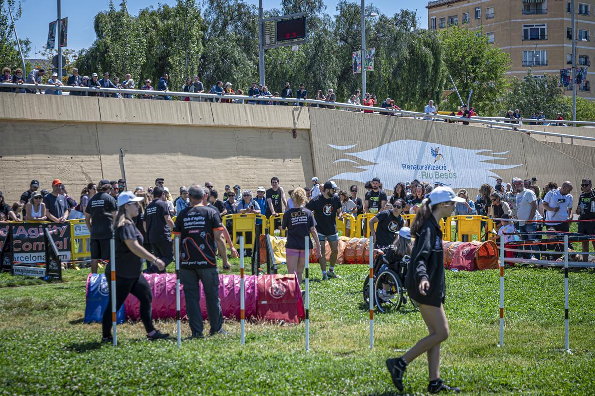 CAN WE RUN BARCELONA. La carrera organizada por Prensa Ibérica y El Periódico de Catalunya con la colaboración de Sport ,  donde las personas y sus mascotas perrunas corren en familia