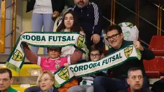 El Córdoba Futsal abre las puertas de Vista Alegre: gratis para los blanquiverdes