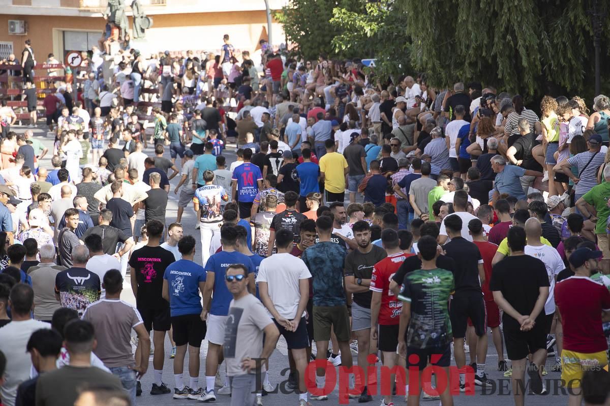 Quinto encierro de las Fiestas de Moratalla