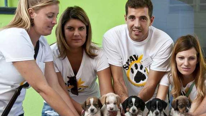 Voluntarios junto a cachorros en adopción.
