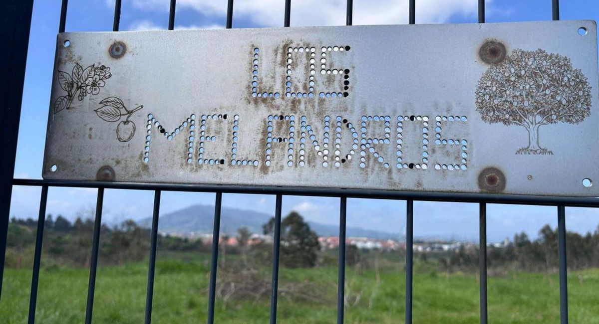 La Belga, la última de las opciones. Los terrenos sierenses, cercanos a Soto de Llanera y La Fresneda, se presentan como la opción definitiva para levantar la nueva ciudad deportiva del Oviedo.