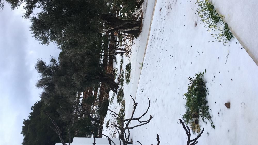 Nieve en Sant Miquel (Ibiza)