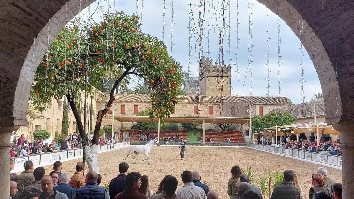 Un acto en Caballerizas Reales