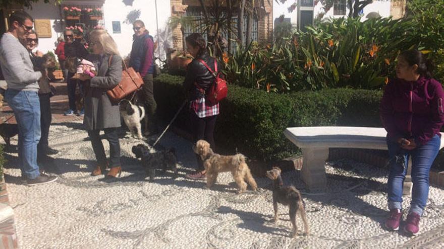 Vecinos pasean a sus perros en la plaza de Los Naranjos, en Marbella.