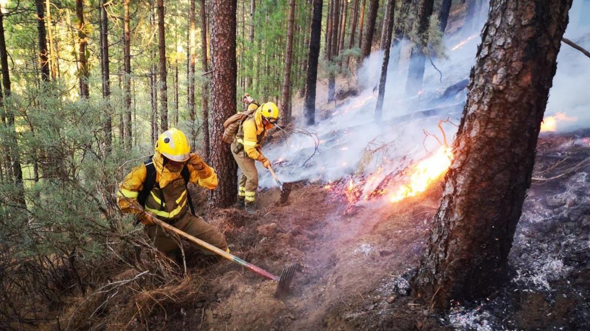 Sigue sin control el incendio de Gran Canaria, que afecta ya a mil hectáreas