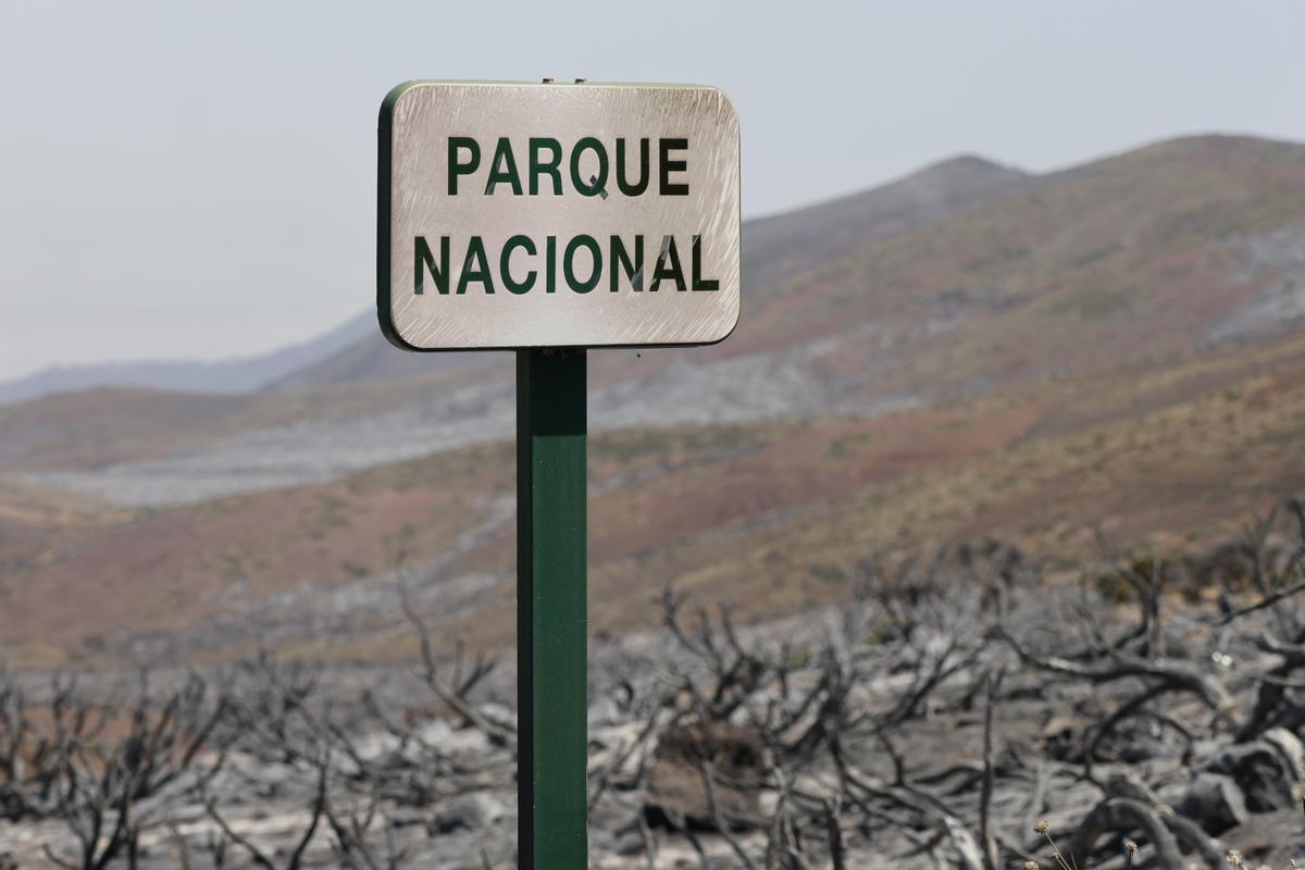 Estabilizado el incendio de Tenerife