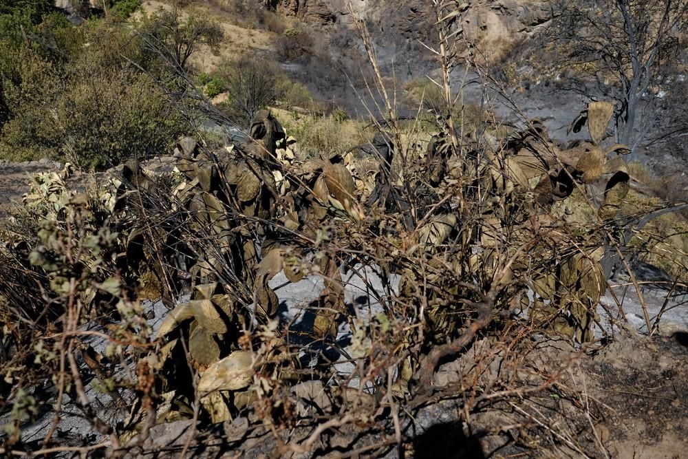 Tejeda tras el incendio