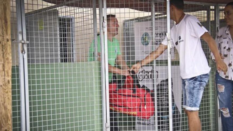 Un activista se encierra en una jaula para luchar contra el abandono de perros
