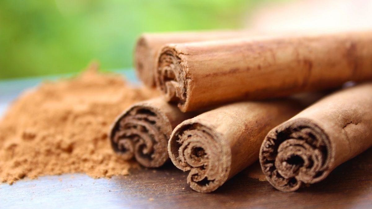 Canela