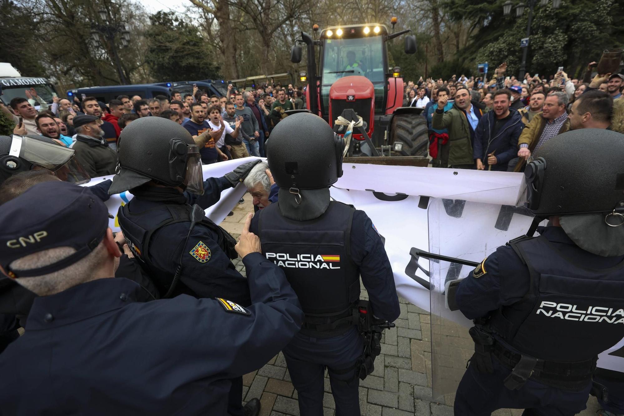 Así fue la protesta agrícola y ganadera convocada en Oviedo