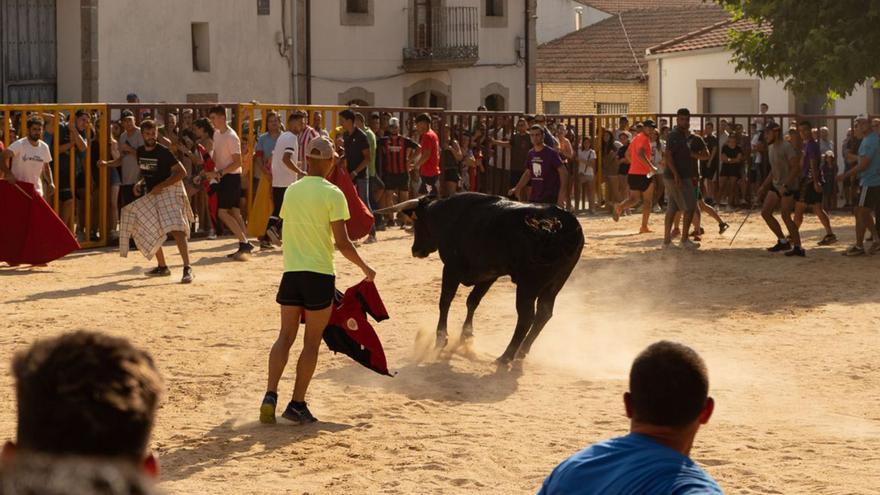 El encierro de Bermillo, entre calor y capotes