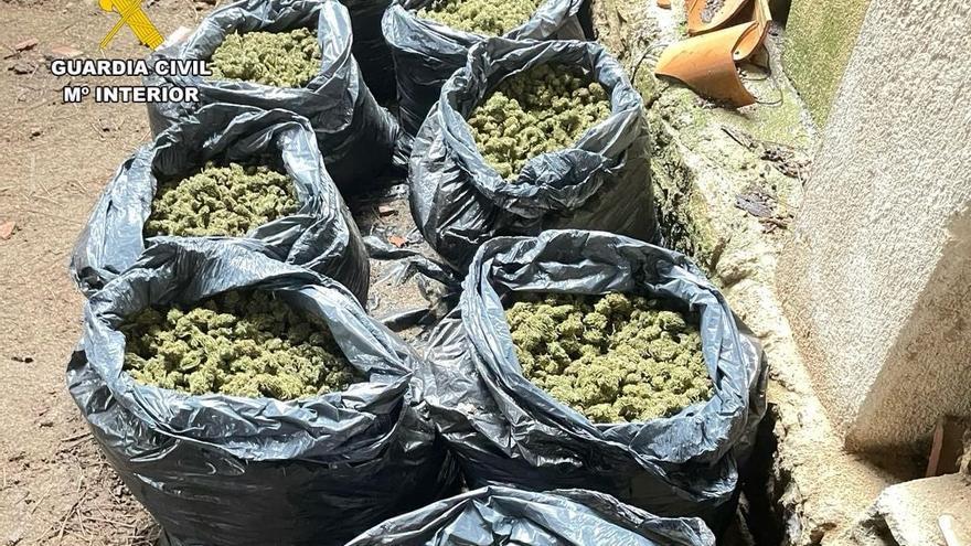 Pillados con más de 50 kilos de marihuana en Villanueva de la Vera