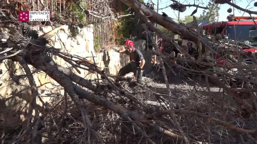 Intervenciones de los bomberos por viento