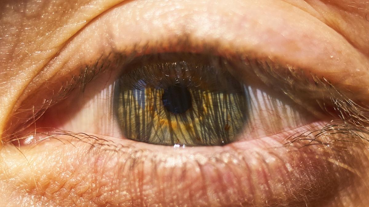 un avance prometedor contra la diabetes