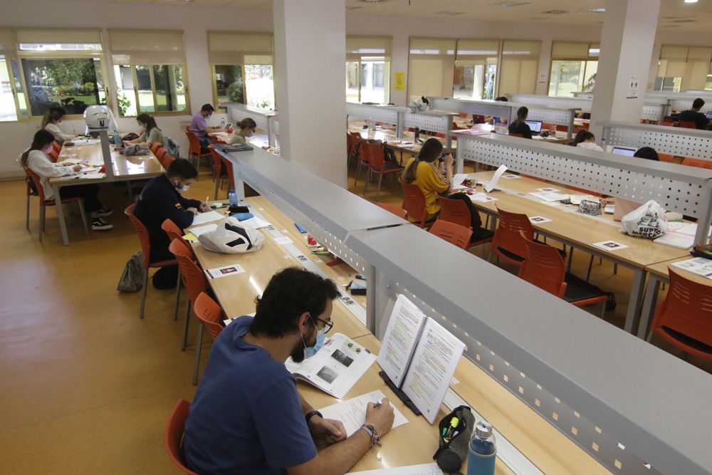 Las bibliotecas cordobesas a tope por los exámenes y la Pevau