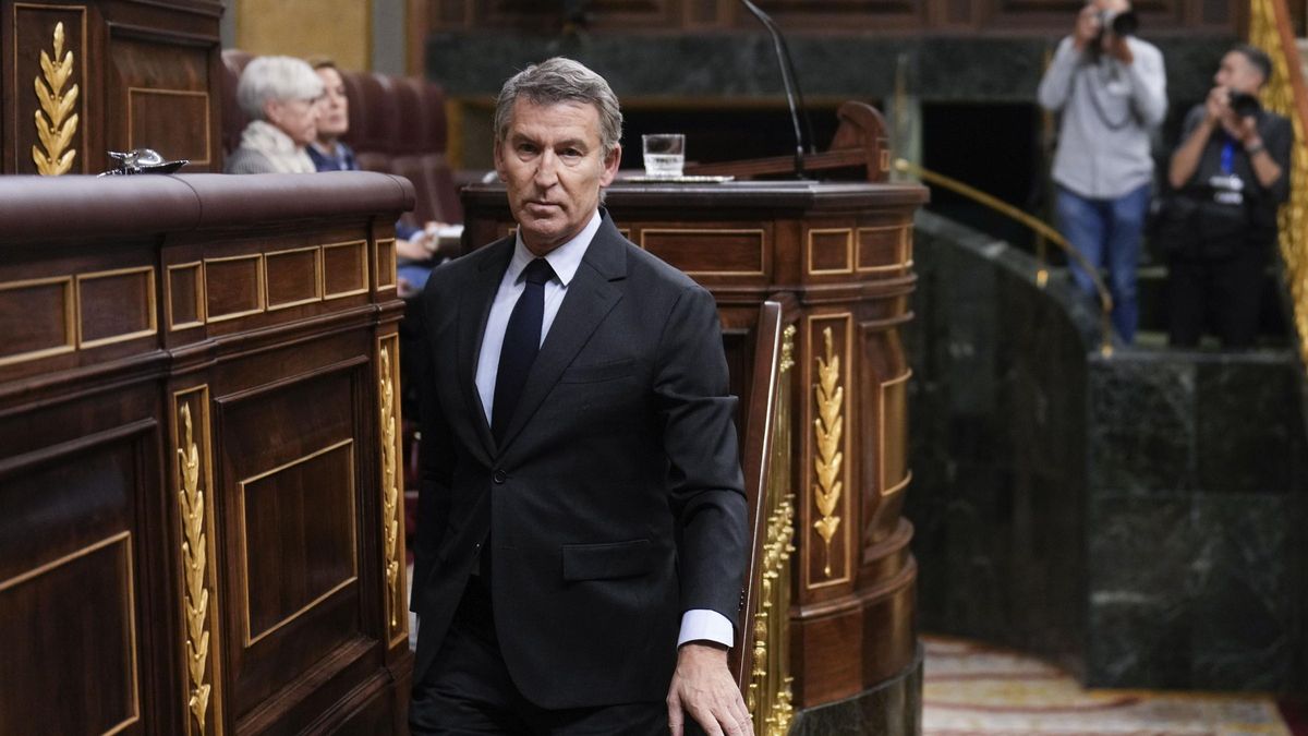 El presidente del PP, Alberto Núñez Feijóo, en el Congreso.