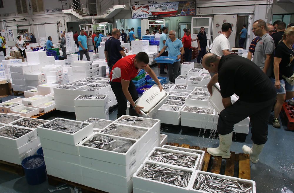 Así es un día de trabajo en la pescadería de Mercamálaga